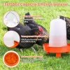 Chicken Feeder Waterer Set 1.5L Hanging Chick Waterer 2.2LBS Height Adjustable Chicken Feeder Poultry Feed Container Kit For Chick Hen Goose Duck