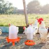 Chicken Feeder Waterer Set 1.5L Hanging Chick Waterer 2.2LBS Height Adjustable Chicken Feeder Poultry Feed Container Kit For Chick Hen Goose Duck
