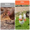 Chicken Feeder Waterer Set 1.5L Hanging Chick Waterer 2.2LBS Height Adjustable Chicken Feeder Poultry Feed Container Kit For Chick Hen Goose Duck