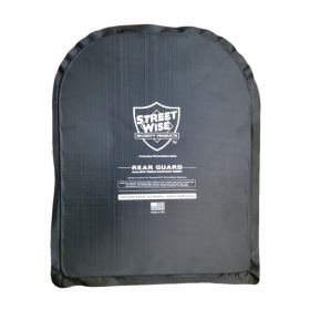 Blackhawk Low Vis Hard Plate Carrier (Style: Large + 2 Plates)
